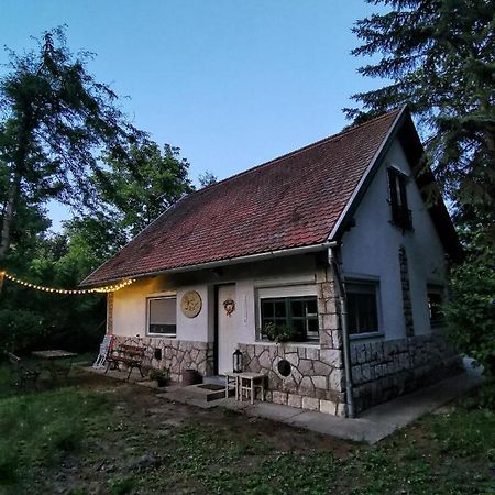 Irofeszek Vendeghaz Villa Zebegény Dış mekan fotoğraf