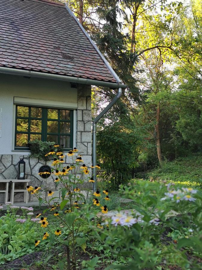 Irofeszek Vendeghaz Villa Zebegény Dış mekan fotoğraf