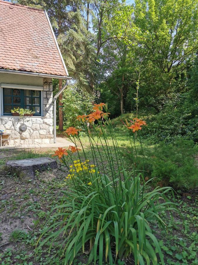 Irofeszek Vendeghaz Villa Zebegény Dış mekan fotoğraf